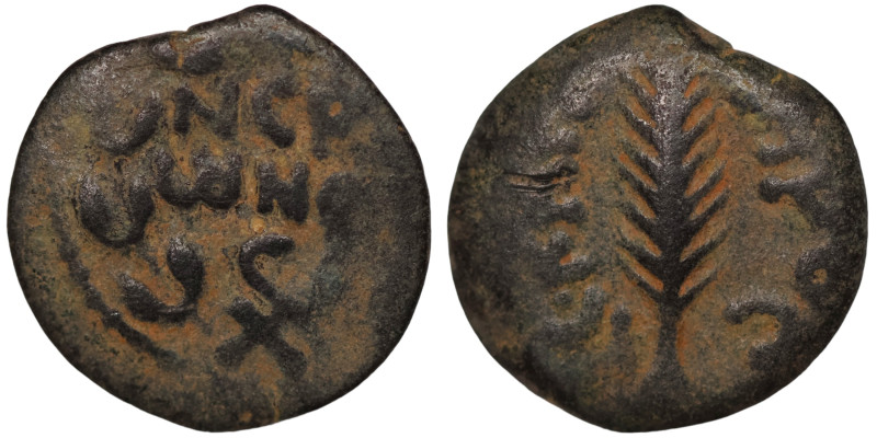 JUDAEA PROCURATORS. Procuis Festus, AD. 59-62. Æ

15mm 2,29g