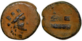 Seleucis Kingdom Greek Coin 1-4 BC Century

19mm 5,50g