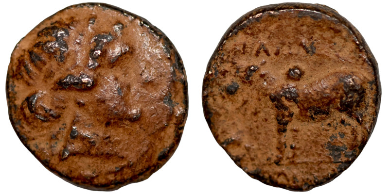 Seleucis Kingdom Greek Coin 1-4 BC Century

16mm 3,97g