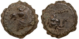 Seleucis Kingdom Greek Coin 1-4 BC Century

15mm 3,46g