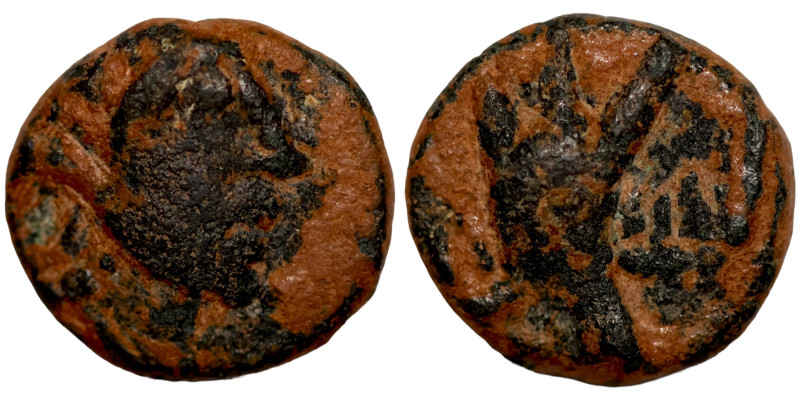 Seleucis Kingdom Greek Coin 1-4 BC Century

13mm 2,80g