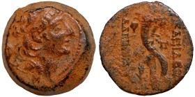 Seleucis Kingdom Greek Coin 1-4 BC Century

20mm 8,32g

 Artifically sand patina