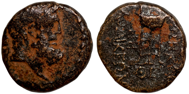 Seleucis Kingdom Greek Coin 1-4 BC Century

16mm 3,82g