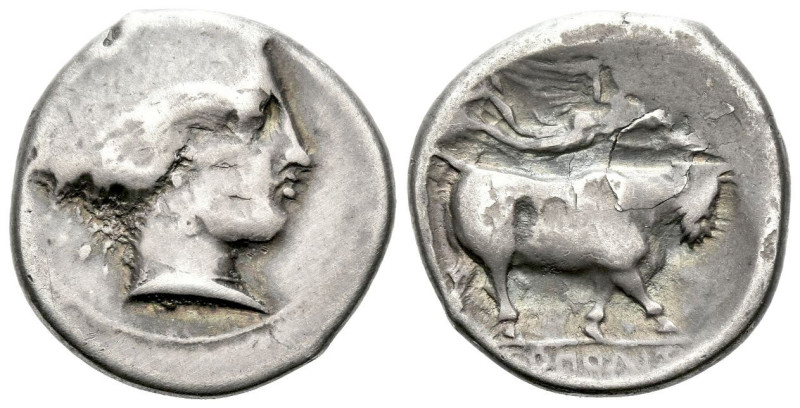 Campania , Neapolis Didrachm circa 320-300, AR 20.00 mm., 7.27 g.
Head of nymph...