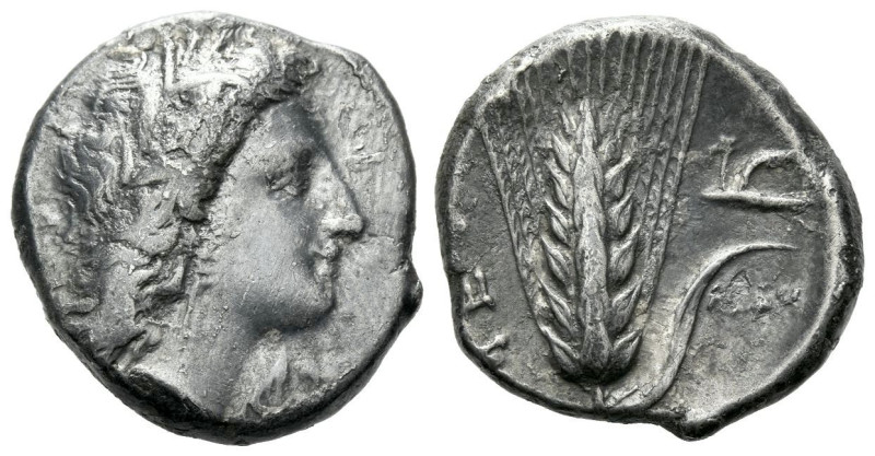 Lucania, Metapontum Nomos circa 330-290, AR 20.00 mm., 7.40 g.
Head of Demeter ...