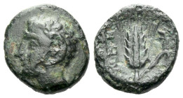 Lucania, Metapontum Bronze III century
