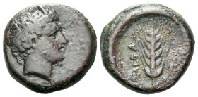 Lucania, Metapontum Bronze Late quarter IV century