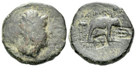 The Seleucid Kings, Antiochus III, 223-187 Uncertain mint Bronze circa 223-187