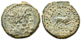 Seleucis ad Pieria, Antiochia Bronze circa 13-14
