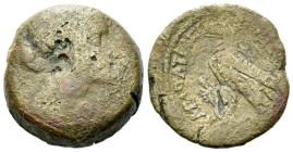 The Ptolemies, Cleopatra VII Thea Neotera, 51-30 Obol - 40 Drachmae circa 51-30