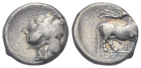 Campania, Neapolis. Didrachm circa 300-275 BC. AR 18.79 mm, 7.18 g.
Off center, otherwise, Good Fine
From a Swiss collection, formed before 2005.
