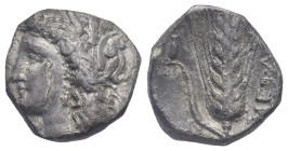 Lucania, Metapontion. Nomos circa 330-290 BC. AR 18.99 mm, 7.40 g. 
Irregular shape and metal flow on obverse, otherwise, about VF
From a Swiss collec...