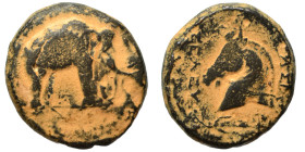 SELEUKID KINGS of SYRIA. Seleukos I Nikator, circa 300-281 BC. Ae (bronze, 9.00 g, 20 mm), Apamea. Elephant standing right. Rev. BAΣΙΛΕΩΣ ΣΕΛΕΥΚΟΥ Hea...