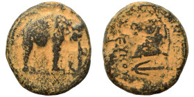 SELEUKID KINGS of SYRIA. Seleukos I Nikator, circa 300-281 BC. Ae (bronze, 6.60 g, 20 mm), Apameia. Elephant standing right. Rev. BAΣΙΛΕΩΣ ΣΕΛΕΥΚΟΥ He...