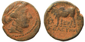 SELEUKID KINGS of SYRIA. Seleukos II Kallinikos, 246-226 BC. Ae (bronze, 3.31 g, 15 mm). Uncertain mint, associated with Antioch. Laureate head of Apo...