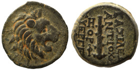 SELEUKID KINGS of SYRIA. Antiochos VII Euergetes (Sidetes), 138-129 BC. Ae (bronze, 2.79 g, 13 mm), Antioch. Head of lion right. Rev. ΒΑΣΙΛΕΩΣ ANTIOXO...