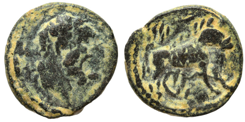 Uncertain. Ae (bronze, 0.96 g, 11 mm). Bearded head right. Rev. Horse (?) right....