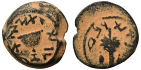 JUDAEA. First Jewish War, 66-70. 1/8 Shekel (bronze, 3.81 g, 17 mm), Jerusalem. Omer cup. Rev. Lulav bunch flanked by etrogs. Meshorer 214; Hendin 639...