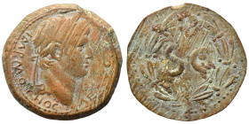 SYRIA. Seleucis and Pieria. Otho, 69. Ae (bronze, 11.76 g, 29 mm), Antioch. IMP M OTHO CAE AVG Laureate head right. Rev. S C within laurel wreath. RPC...