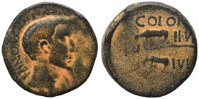 CILICIA. Uncertain. Augustus, 27 BC-14 AD) Ae (bronze, 8.30 g 20 mm). PRINCEPS FELIX Bare head right. Rev. COLON[IA] IVL[IA] / II VIR [VE TER] Two hum...