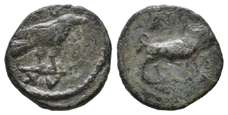 Legio XV Apollinaris. Circa 117-late 2nd century. Tessera (Bronze)

Weight: 1,...