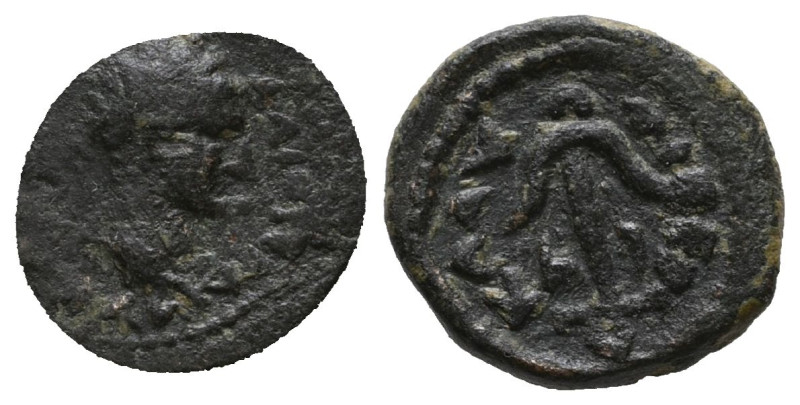 Roman Provincial Coins , Hadrianus 117-138 AE.

Weight: 2,7 gr 
Diameter: 14,7 m...