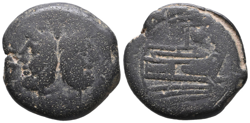 L. Sempronius Pitio. 148 B.C. AE. Rome mint. PI-TIO above, laureate head of bear...