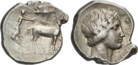 GREEK COINS
Tetradracma. 435-412 a.C. KATANE. SICILIA. Anv.: Auriga, sosteniendo kentron y riendas, conduciendo una cuadriga hacia la derecha; arriba...