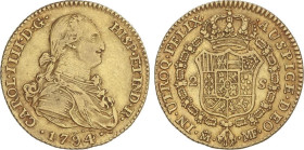 SPANISH MONARCHY: CHARLES IV
2 Escudos. 1794. MADRID. M.F. 6,70 grs. (Leves rayitas). AC-1282. MBC.