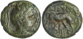 (146-143 a.C.). Macedonia Pella. AE 19. (S. 1443) (CNG III, 1118). Acuñada bajo el cuestor C. Publilius. Ex Savoca 15/07/2023, nº 20. 8,54 g. MBC-.