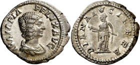 (214 d.C.). Julia Domna. Denario. (Spink 7100) (S. 32) (RIC. 373A, de Caracalla). 3,38 g. MBC+.