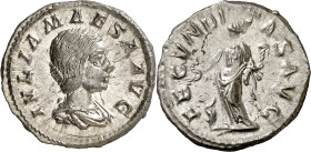 (218-220 d.C.). Julia Maesa. Denario. (Spink 7749) (S. 8) (RIC. 249). 3,70 g. EBC/EBC-.