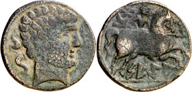 Segia (Ejea de los Caballeros). As. (FAB. 2157) (ACIP. 1454). 7,86 g. MBC-.