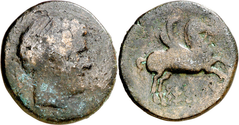 Sesars (en Aragón). Semis. (FAB. 2200) (ACIP. 1408). Muy escasa. 7,88 g. BC+.