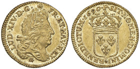 FRANCIA Luigi XIV (1643-1715) Mezzo Luigi d'oro 1690 P Dijon - Gad. 239 AU (g 3,33) RRRR Di estrema rarità, non abbiamo reperito nessun passaggio sui ...