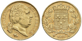 FRANCIA Luigi XVIII (1815-1824) 20 Franchi 1817 A - Gad. 1028 AU (g 6,40)

Status: BB