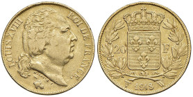 FRANCIA Luigi XVIII (1815-1824) 20 Franchi 1818 W - Gad. 1028 AU (g 6,40)

Status: qBB/BB