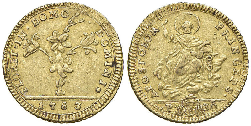 Pio VI (1775-1799) Doppia 1783 - Munt. 3f AU (g 5,43) R

Status: BB