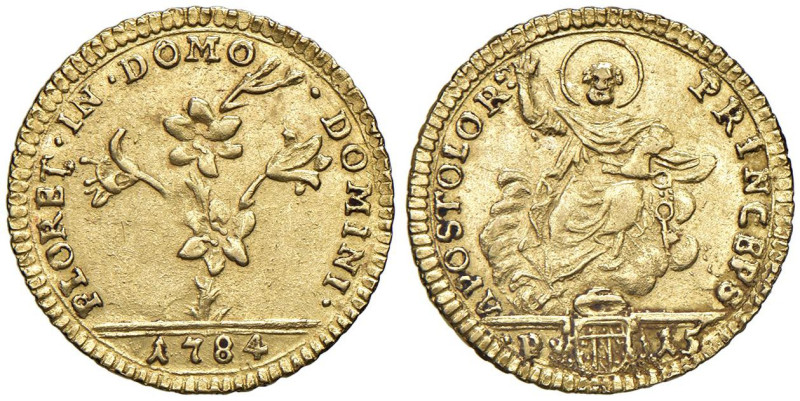 Pio VI (1775-1799) Mezza doppia 1784 - Munt. 14c AU (g 2,72) RR

Status: SPL