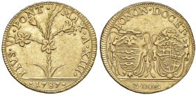 Pio VI (1775-1799) Bologna - 2 Doppie 1787 An. XIII - Munt. 168 AU (g 10,92) R

Status: qSPL