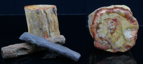 Paléozoïque, Permien au Barrémien - Lot de 3 morceaux de bois fossile - 299 / 121 millions d'années
Ensemble de 3 morceaux de bois fossilisés. Dimens...