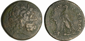 Royaume Lagide - Ptolémée II, Philadelphos - Grand bronze (285-246 av. J.-C.)
A/ Tête de Zeus à droite. 
R/ ΠTΟΛΕΜΑΙΟΥ ΒΑΣΛΕΩΣ. Aigle debout à gauch...