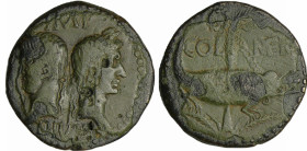 Agrippa et Auguste - As (10-14 av. J.-C., Nîmes)
A/ IMP DIVI F. Têtes adossées d'Auguste tête nue, et d'Agrippa tête laurée. 
R/ COL NEM. Crocodile ...