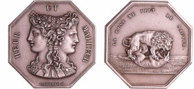 France - Jeton octogonal de jeu Heur et Malheur "La ruse ne peut le sauver" (1880-1907)
SUP+
 Ar ; 13.39 gr ; 30 mm
Tranche poinçon : Corne (1880-1...