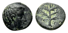 ASIA MINOR. Uncertain.(Circa 4th century BC).Ae. 

Condition : Good very fine.

Weight : 0.99 gr
Diameter : 9 mm