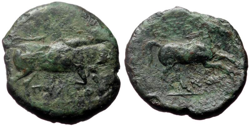 Apulia, Arpi AE (Bronze, 5.84g, 20mm) ca 275-250 BC. 
Obv: Bull charging to righ...