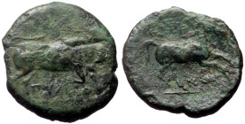 Apulia, Arpi AE (Bronze, 5.84g, 20mm) ca 275-250 BC. 
Obv: Bull charging to right; ΠOYΛAI below 
Rev: Horse galloping to right; APΠA above, NOY below,...