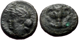 Bruttium, Rhegion AE (Bronze, 1.93g, 13mm) ca 350-280 BC. 
Obv: Facing lion's head 
Rev: P-H, laureate head of Apollo left. 
Ref: SNG ANS -; Garrucci ...