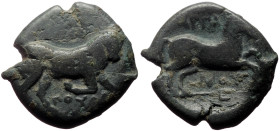 Apulia, Arpi AE (Bronze, 7.54g, 22mm) ca 275-250 BC. 
Obv: Bull charging to right; ΠOYΛAI below 
Rev: Horse galloping to right; APΠA above, NOY below,...