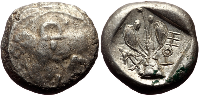 Cyprus, Uncertain AR Stater (Silver, 20mm, 10.71g)
Obv: Bull standing left; wing...